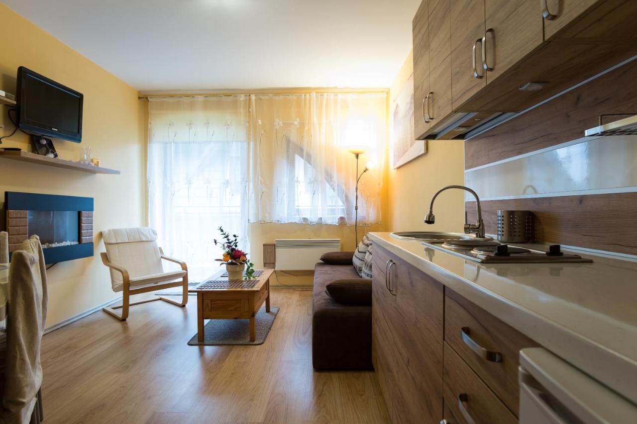 Apartmán Panorama Tatrzanska Kościelisko Exteriér fotografie