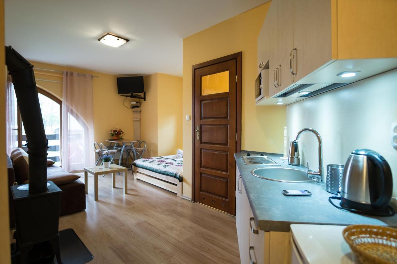 Apartmán Panorama Tatrzanska Kościelisko Exteriér fotografie